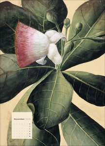 Botanicals Kalender 2025