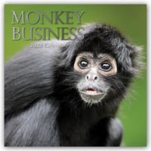 Monkey Business 2022 - 16-Monatskalender