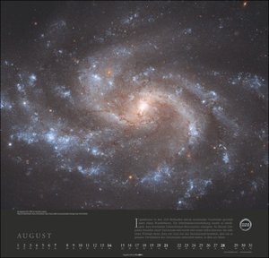 Stephen Hawking Wandkalender 2022