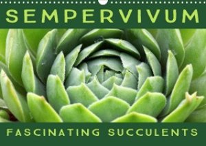 Sempervivum Fascinating Succulents (Wall Calendar 2023 DIN A3 Landscape)
