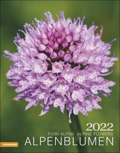 Alpenblumen  - 2022