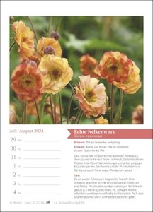 Heilkräuter Wochen-Kalender 2024. Jede Woche Wissenswertes aus der Pflanzenwelt: Naturheilkunde für zu Hause in einem Foto-Wandkalender mit Platz für Notizen