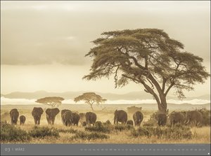 Afrika - Edition Alexander von Humboldt Kalender 2023