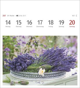 Blumenpracht Postkartenkalender 2025 - Wochenkalender mit 53 Postkarten