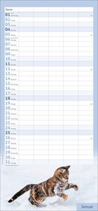 times&more Katzen Familienplaner 2026