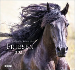 Friesen 2023 – Edle Pferde – Fotografiert von Christiane Slawik – DUMONT-Wandkalender – Format 38,0 x 35,5 cm