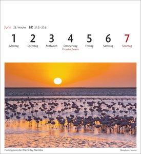 Südafrika & Namibia Sehnsuchtskalender 2026