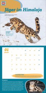 WAS IST WAS Tierwelt Broschurkalender 2026