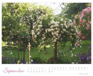 Im Rosengarten 2025 - DUMONT Garten-Kalender - Querformat 52 x 42,5 cm - Spiralbindung