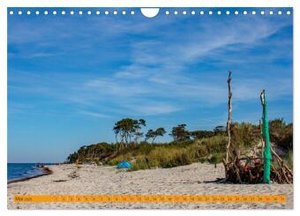 Wilder Darßer Weststrand (Wandkalender 2025 DIN A4 quer), CALVENDO Monatskalender