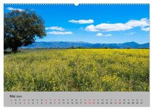 Traumziel Haute Provence (hochwertiger Premium Wandkalender 2024 DIN A2 quer), Kunstdruck in Hochglanz