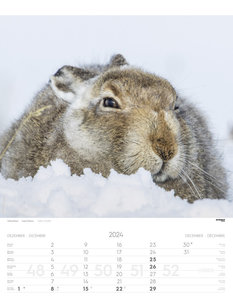 Tiere der Alpen - Kalender 2024