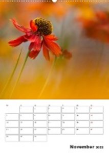 Farbiger Blütentraum (Premium, hochwertiger DIN A2 Wandkalender 2022, Kunstdruck in Hochglanz)