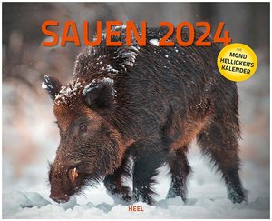 Sauen Kalender 2024 Jagd-Kalender im XXL-Format