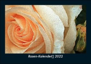 Rosen-Kalender 2022 Fotokalender DIN A5