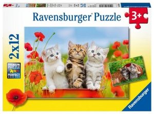 Ravensburger Kinderpuzzle - 07626 Katzen auf Entdeckungsreise - Puzzle für Kinder ab 3 Jahren, mit 2x12 Teilen