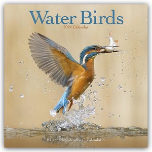 Water Birds - Wasservögel 2024 - 16-Monatskalender
