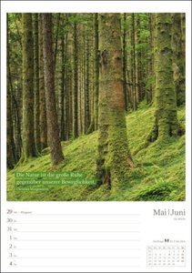 Magie des Waldes Wochenplaner 2023. Kalender mit Fotos, die die Schönheit des Waldes meisterhaft zur Geltung bringen. Praktischer Wandplaner mit hochwertigen Naturaufnahmen.