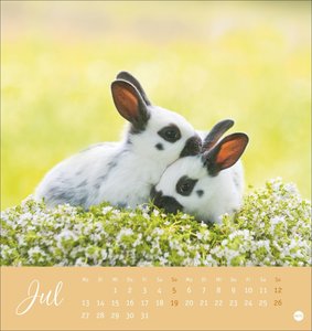 Süße Kaninchen Postkartenkalender 2026