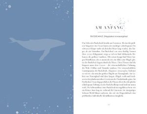Die Reise der Wale
