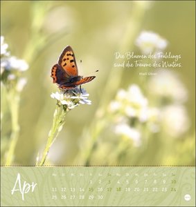 Ich wünsch dir ... Zeit zum Träumen Postkartenkalender 2022