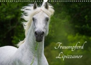 Traumpferd Lipizzaner (Wandkalender 2023 DIN A3 quer)