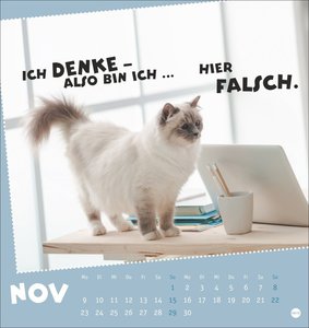 Mach mal Pause Postkartenkalender 2026