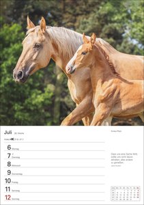 Pferde Wochenplaner 2026 - 53 faszinierende Fotografien