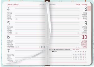 Ladytimer Mini Blowballs 2023 - Taschen-Kalender 8x11,5 cm - Pusteblumen - Weekly - 144 Seiten - Notiz-Buch - Alpha Edition