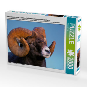 CALVENDO Puzzle Nahaufnahme  eines  Dickhorn Schafes mit imposantem Gehoern. 2000 Teile Puzzle quer