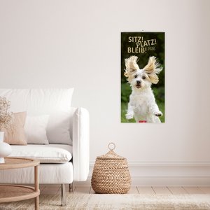 Sitz! Platz! Bleib! Kalender 2026
