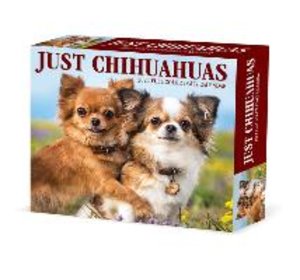 CHIHUAHUAS 2022 BOX CAL
