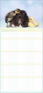 Sweet Friends Familienplaner 2023. Süße Tierkinder in einem praktischen großen Familienkalender mit 5 Spalten. Alle Termine übersichtlich in einem Wand-Kalender.