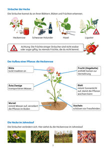 Übungsheft mit Tests im Sachunterricht 2. Klasse