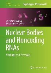 Nuclear Bodies and Noncoding RNAs