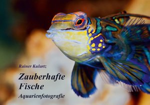 Zauberhafte Fische - Aquarienfotografie