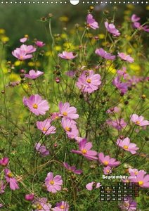 Kruse, G: Wonderful Summer Flowers (Wall Calendar 2016 DIN A