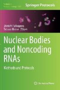 Nuclear Bodies and Noncoding RNAs