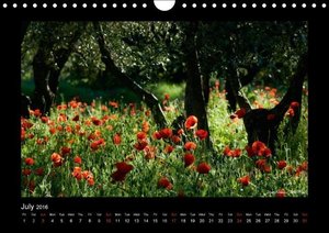 François LEPAGE, J: Poppies of my heart (Wall Calendar 2016