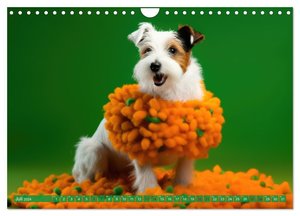 Hundemode vom Dogwalk (Wandkalender 2024 DIN A4 quer), CALVENDO Monatskalender