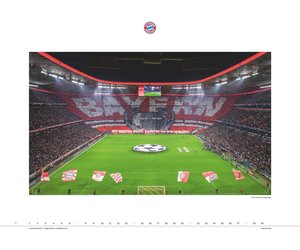 FC Bayern München 2024 Wand-Kalender - Fußball-Kalender - Fan-Kalender - 60x50 - Sport