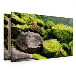 Premium Textil-Leinwand 75 cm x 50 cm quer Ein Motiv aus dem Kalender Steine, Felsen und Meer