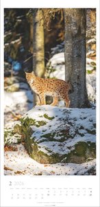 Im Wald Kalender 2026