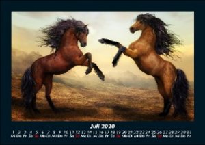 Der Tierkalender 2020 Fotokalender DIN A5
