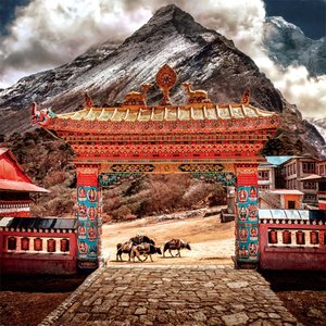 Wisdom of Tibet 2023