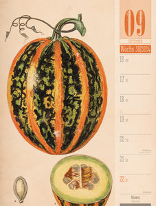Culinarium - Küche, Kräuter, Kurioses - Vintage Wochenplaner Kalender 2024