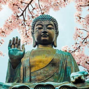 Buddhas Weisheit 2023