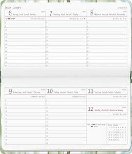 Ladytimer Pad Terrazzo 2025 - Taschen-Kalender 15,6x9 cm - Fliesen - Weekly - 128 Seiten - Notiz-Buch - Alpha Edition