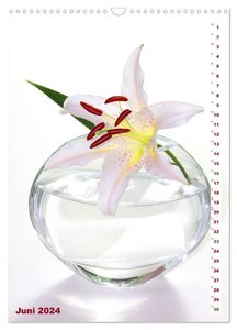 Lilien-Eleganz (Wandkalender 2024 DIN A3 hoch), CALVENDO Monatskalender