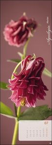 Magic Flowers Vertical Kalender 2023. Langer Wandkalender mit farbenprächtigen Blumen-Fotos. Dekorativer XXL Kalender vertikal mit beeindruckenden Blüten. 25x69 cm
